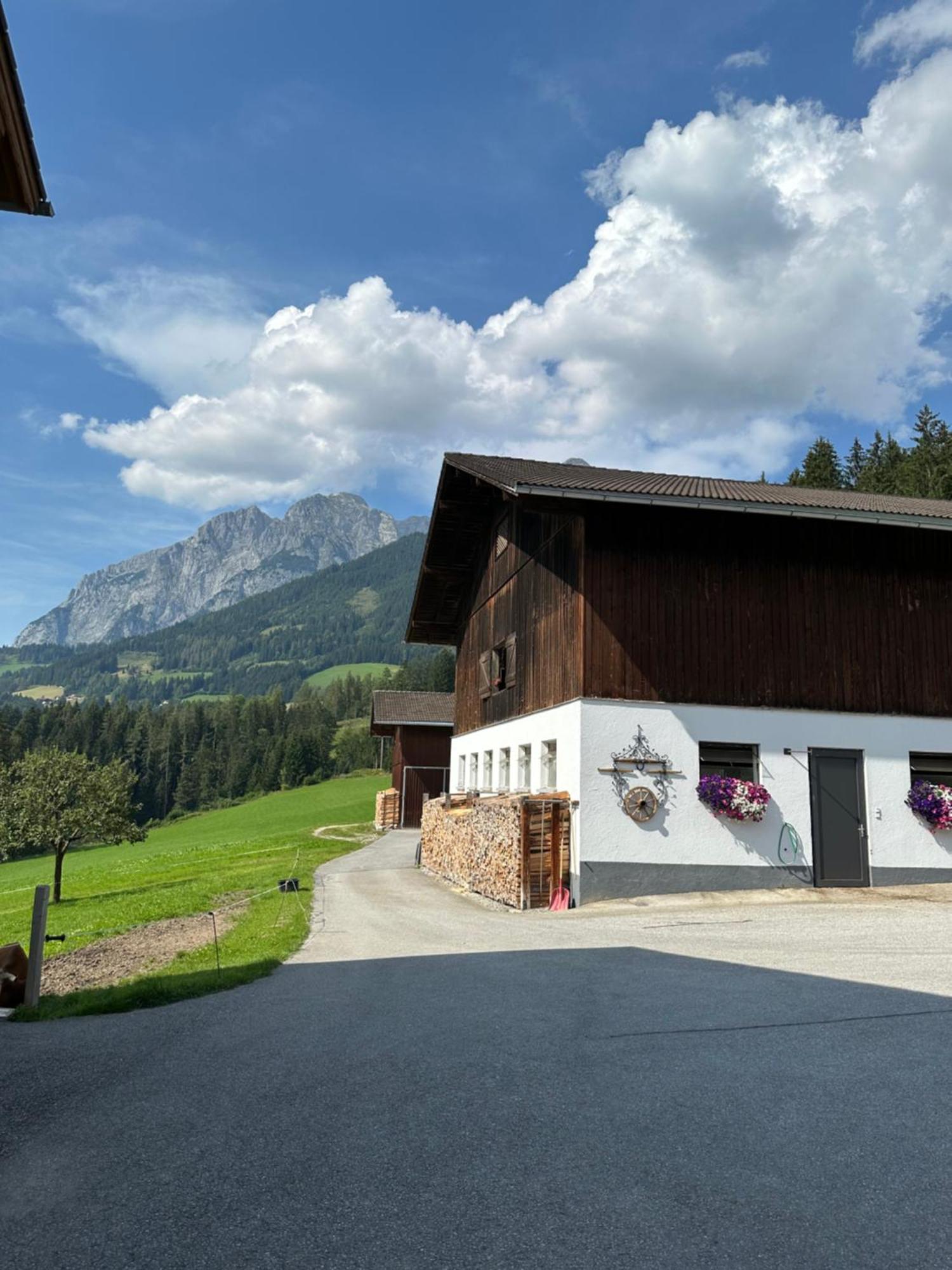 Frische Bergluft Und Laendlicher Charme - Ihr Aktiver Urlaub Am Muehlauhof Muhlbach Am Hochkonig Bagian luar foto