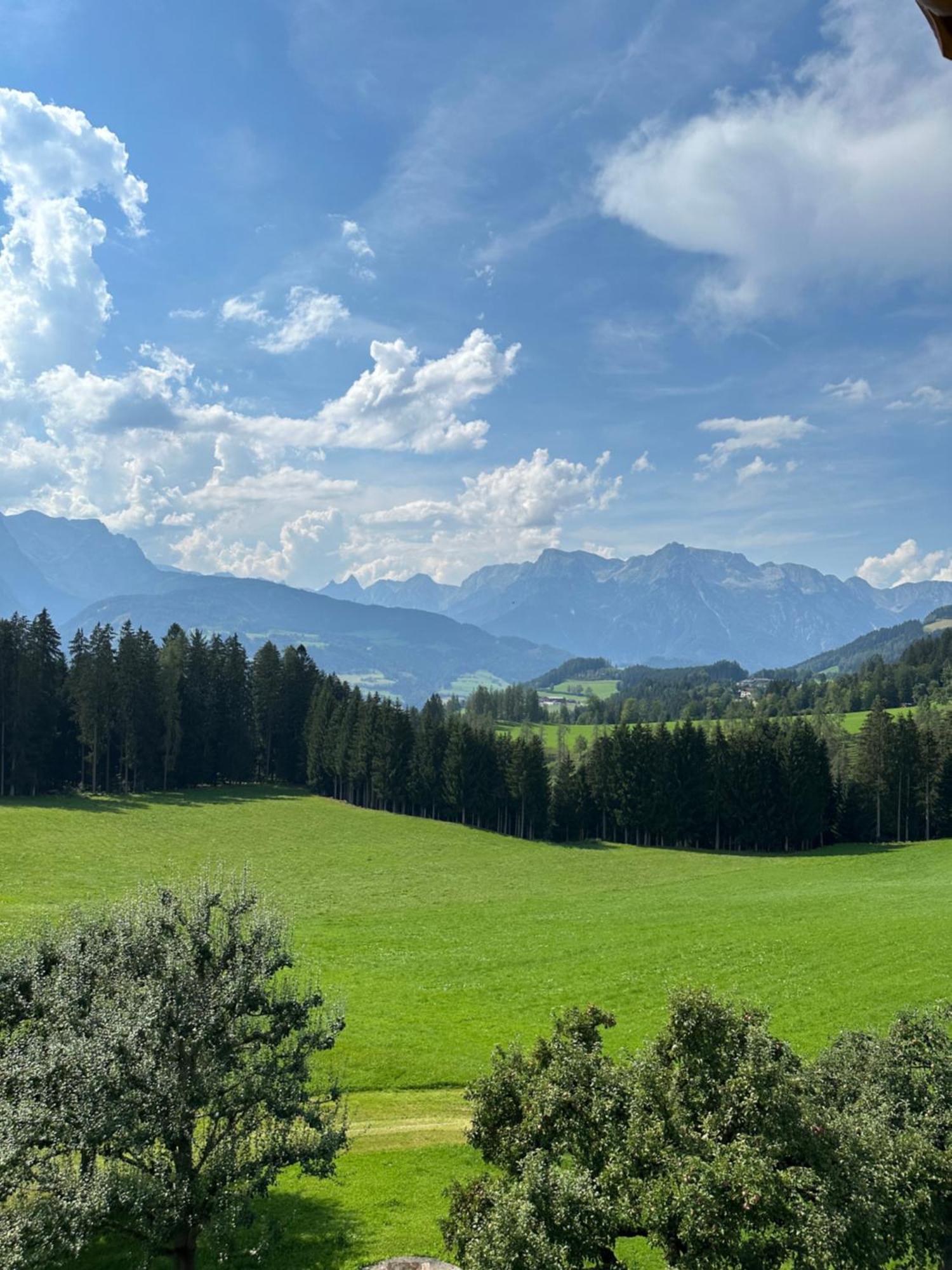Frische Bergluft Und Laendlicher Charme - Ihr Aktiver Urlaub Am Muehlauhof Muhlbach Am Hochkonig Bagian luar foto