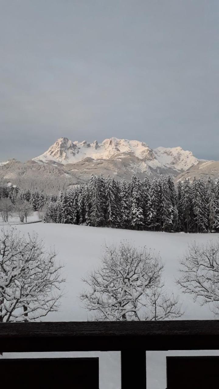 Frische Bergluft Und Laendlicher Charme - Ihr Aktiver Urlaub Am Muehlauhof Muhlbach Am Hochkonig Bagian luar foto