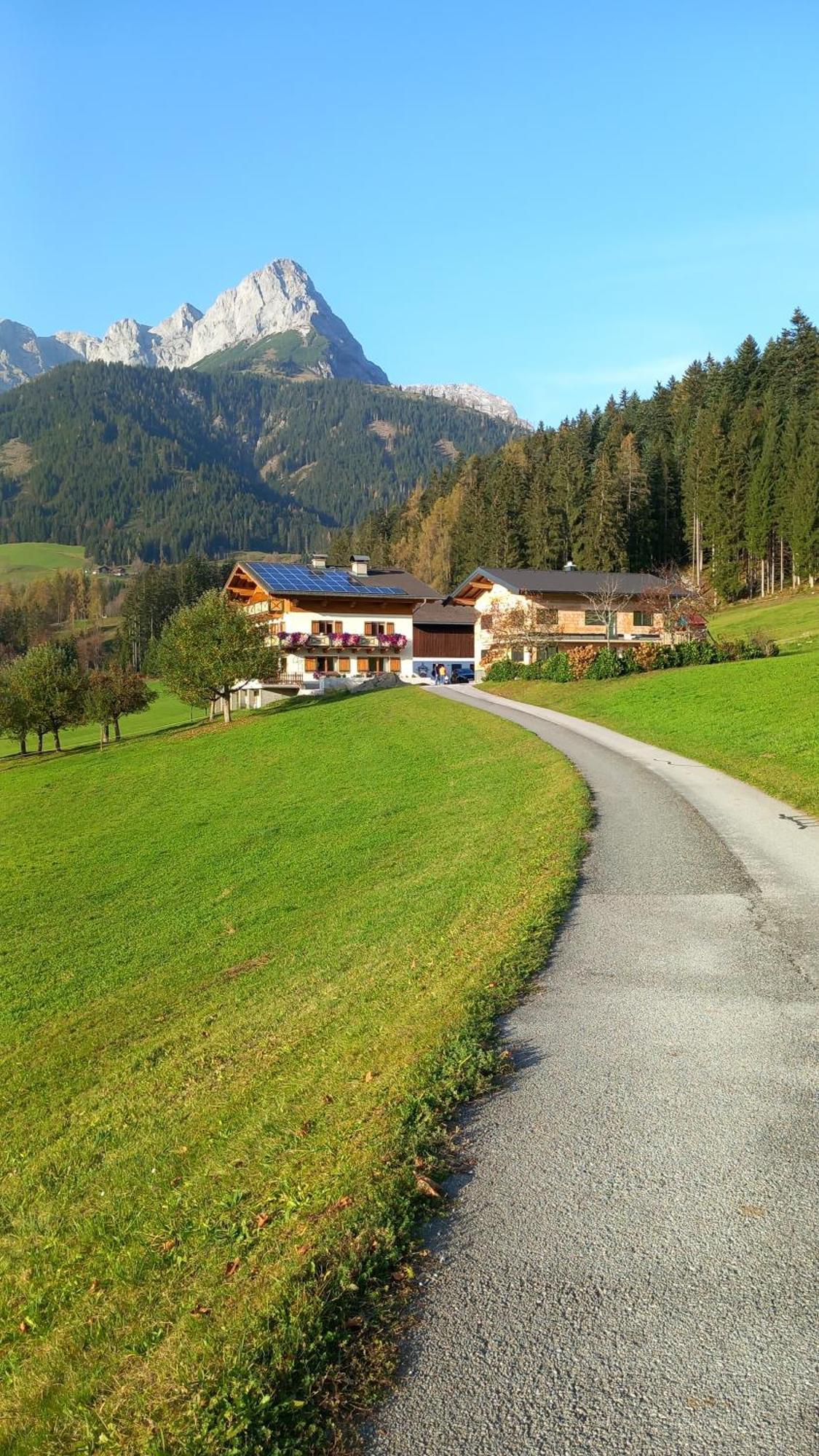 Frische Bergluft Und Laendlicher Charme - Ihr Aktiver Urlaub Am Muehlauhof Muhlbach Am Hochkonig Bagian luar foto